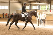IMG_0070