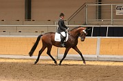 IMG_0078