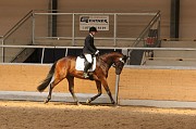 IMG_0084