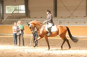 IMG_0091