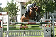IMG_0038
