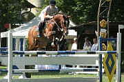 IMG_0010
