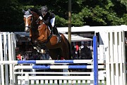 IMG_0029
