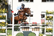 IMG_0041