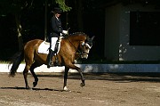 IMG_0002