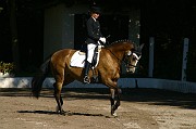 IMG_0003