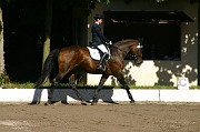 IMG_0004