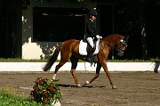 IMG_0008