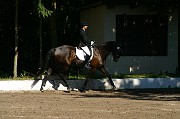 IMG_0029