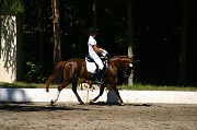 IMG_0006