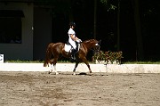 IMG_0013