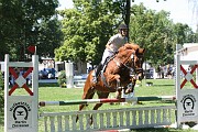IMG_0038