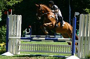 MG_0005
