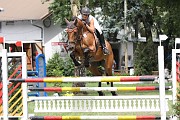 IMG_0012
