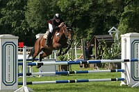 IMG_0065