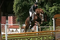 IMG_0009