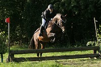 IMG_0125