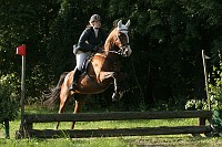 IMG_0126