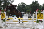 IMG_0010