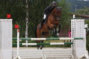 IMG_0012