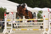 IMG_0010