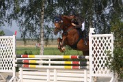 IMG_0007