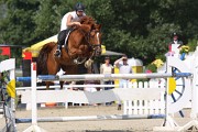 IMG_0011