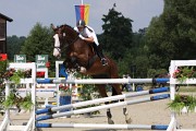IMG_0029