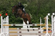 IMG_0036