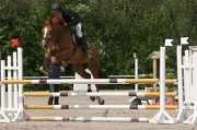 IMG_0077