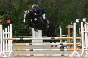 IMG_0095
