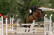 IMG_0021