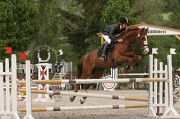 IMG_0037