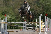 IMG_0019