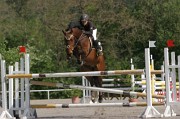 IMG_0041