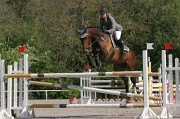 IMG_0050