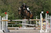 IMG_0054