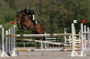 IMG_0060