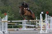 IMG_0064