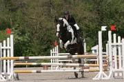 IMG_0006