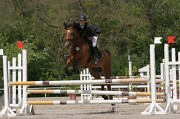 IMG_0021