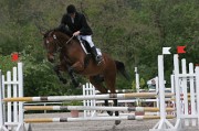 IMG_0029