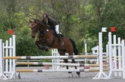 IMG_0036