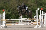 IMG_0037