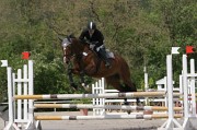 IMG_0040