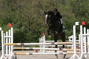 IMG_0049
