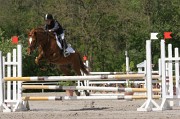 IMG_0052