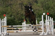 IMG_0060