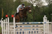 IMG_0264