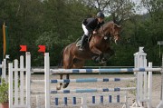 IMG_0318